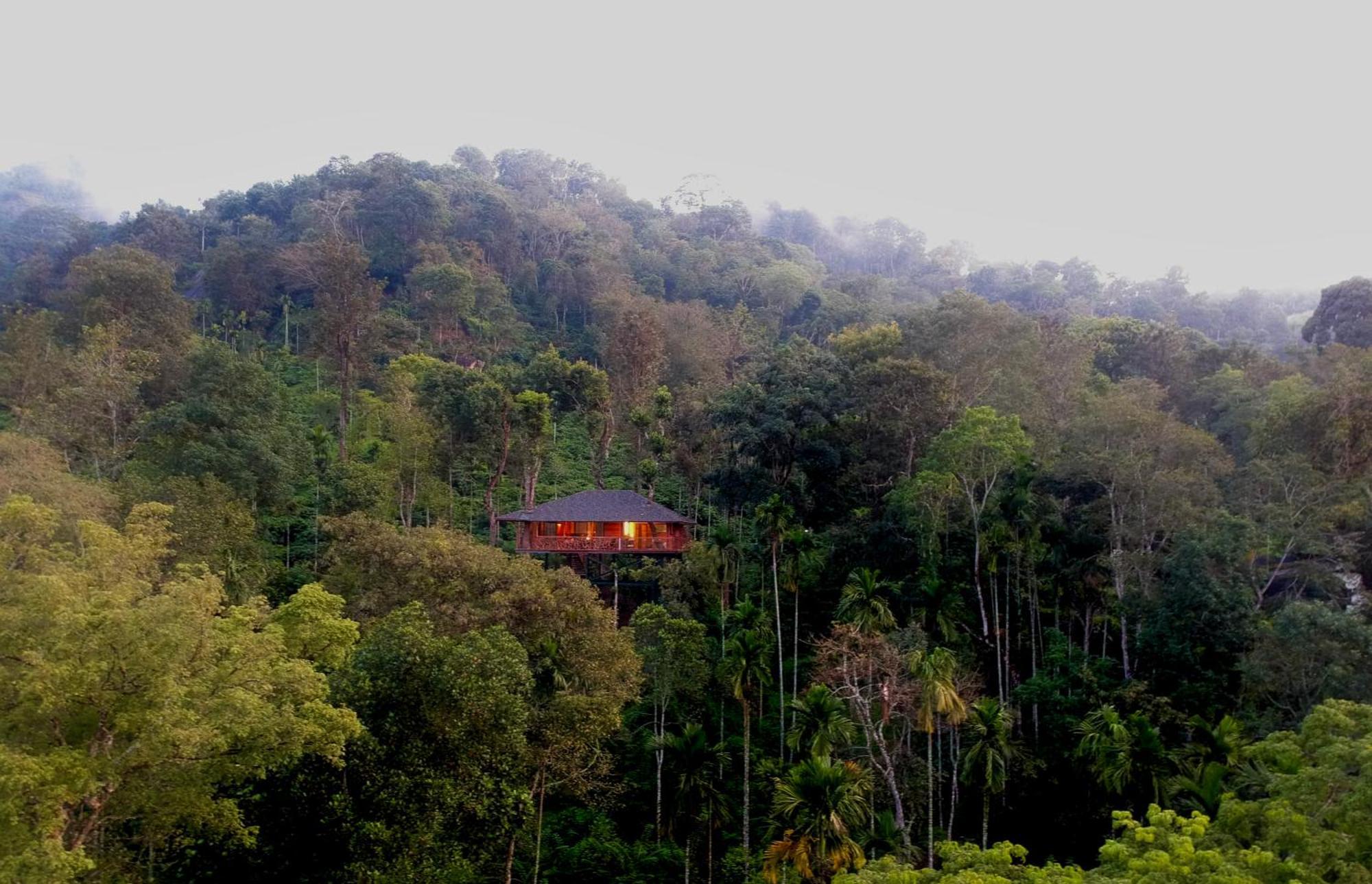 Tranquil Resort - Blusalzz Collection, Wayanad - Kerala Ambalavayal Exterior photo