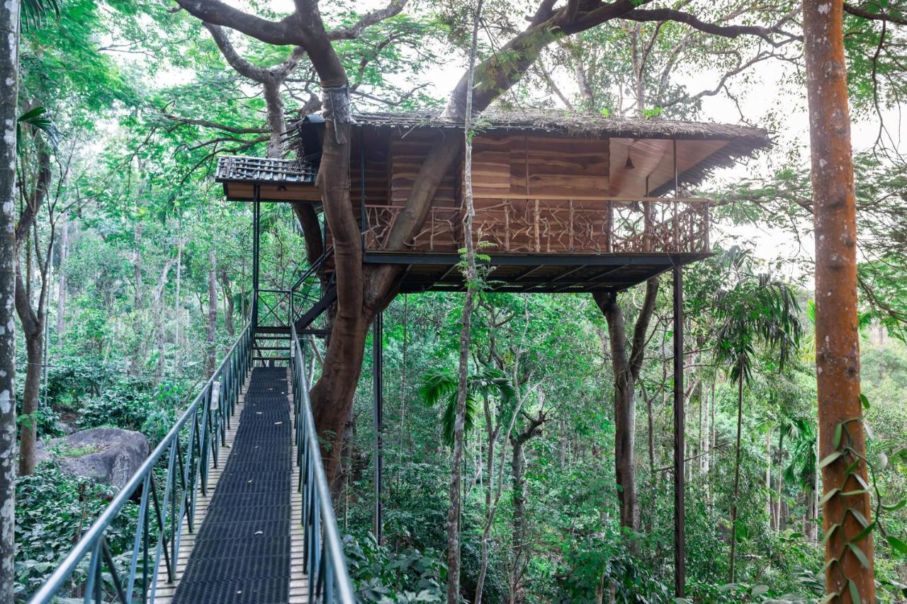 Tranquil Resort - Blusalzz Collection, Wayanad - Kerala Ambalavayal Exterior photo